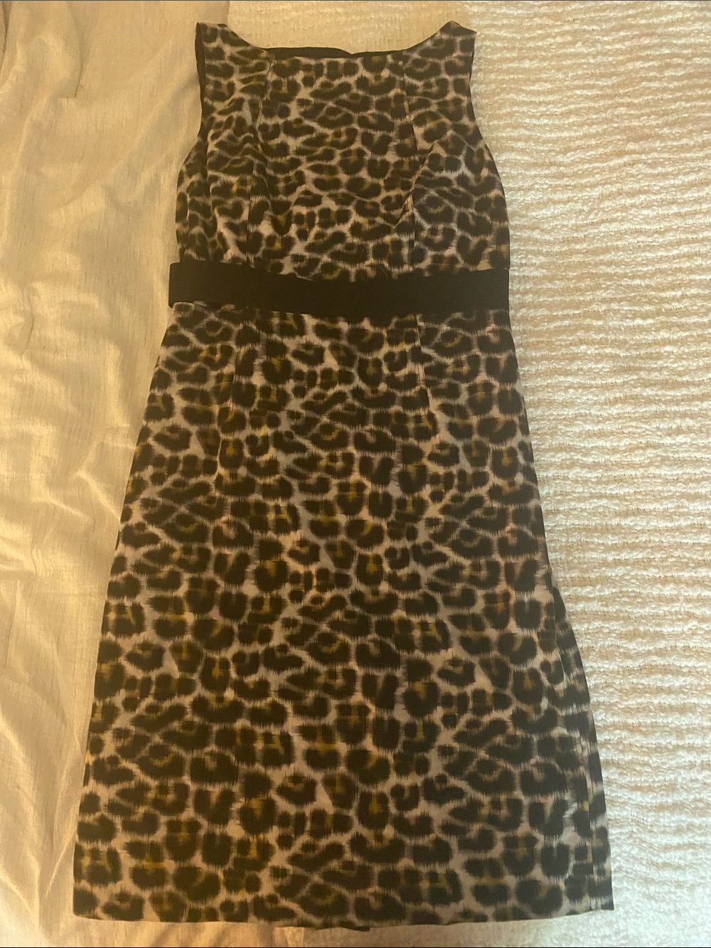 Leopard Print Sleeveless Dress with Black Waistband